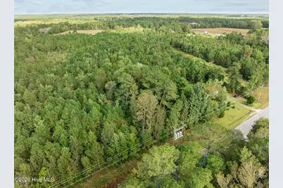 Tbd Gurganus Road, Maple Hill, NC 28454 - Photo 15