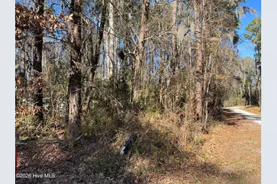 Lot #49&50 Cottonwood Drive, Blounts Creek, NC 27814 - Photo 7
