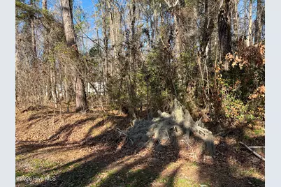 Lot #49&50 Cottonwood Drive, Blounts Creek, NC 27814 - Photo 5
