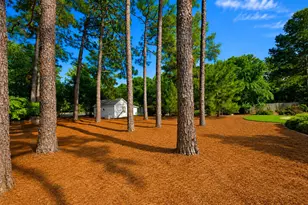 700 Linden Rd, Pinehurst, NC 28374 - Photo 51