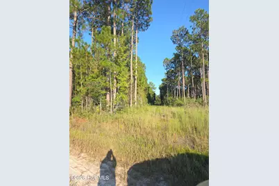10.57 Ac Egypt Road NW, Ash, NC 28420 - Photo 7