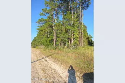 10.57 Ac Egypt Road NW, Ash, NC 28420 - Photo 5