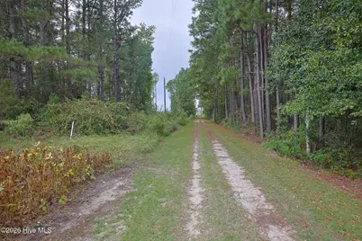 10.57 Ac Egypt Road NW, Ash, NC 28420 - Photo 3