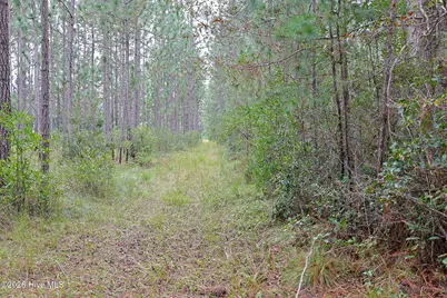10.57 Ac Egypt Road NW, Ash, NC 28420 - Photo 15