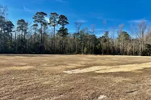3678 New Britton Hwy E, Whiteville, NC 28472 - Photo 1