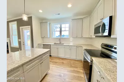 203 Rae Drive, Pikeville, NC 27863 - Photo 19