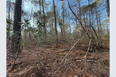 0 Carolina 410, Bladenboro, NC 28320 - Photo 27