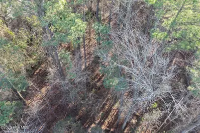 0 Carolina 410, Bladenboro, NC 28320 - Photo 25