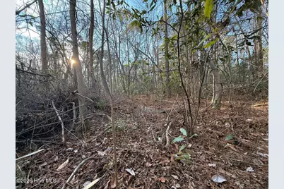 0 Carolina 410, Bladenboro, NC 28320 - Photo 15