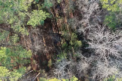0 Carolina 410, Bladenboro, NC 28320 - Photo 31