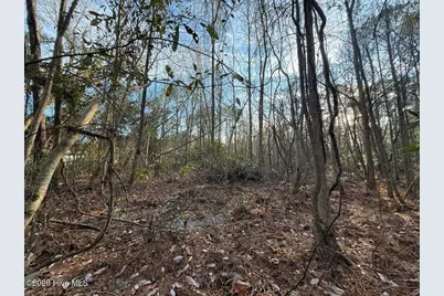 0 Carolina 410, Bladenboro, NC 28320 - Photo 29