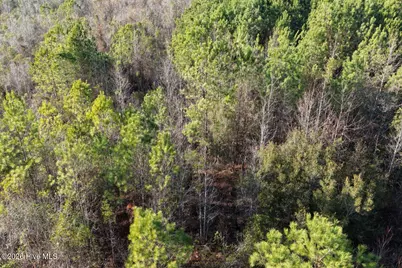 0 Carolina 410, Bladenboro, NC 28320 - Photo 35
