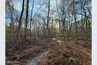 0 Carolina 410, Bladenboro, NC 28320 - Photo 21