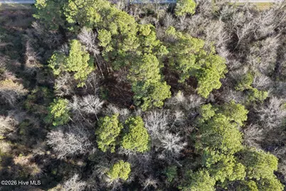 0 Carolina 410, Bladenboro, NC 28320 - Photo 39