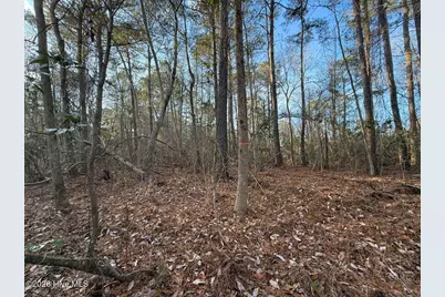 0 Carolina 410, Bladenboro, NC 28320 - Photo 7