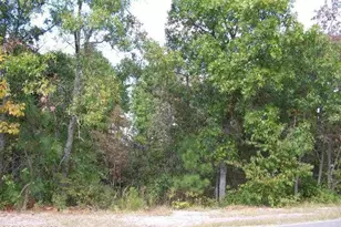 146 Cardinal Ln, West End, NC 27376 - Photo 1