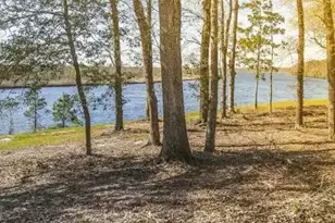3622 Rosewood Landing Dr, Castle Hayne, NC 28429 - Photo 67