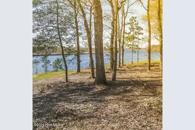 3622 Rosewood Landing Drive, Castle Hayne, NC 28429 - Photo 59