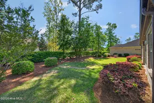 3622 Rosewood Landing Dr, Castle Hayne, NC 28429 - Photo 53