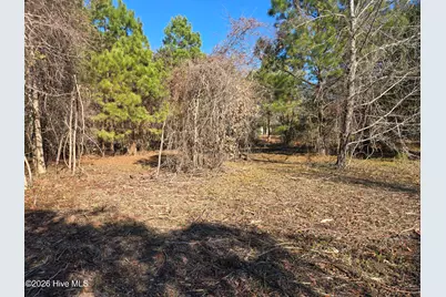 203 Moores Landing Court, Hampstead, NC 28443 - Photo 1