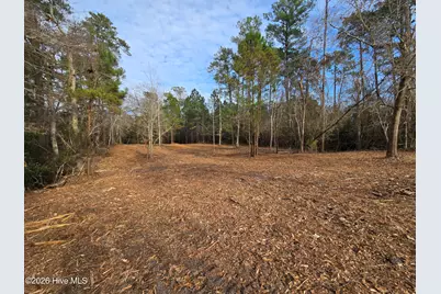 328 Ace Lane, Swansboro, NC 28584 - Photo 3