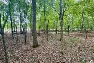 50 & 51 Chestnut St, Hertford, NC 27944 - Photo 1