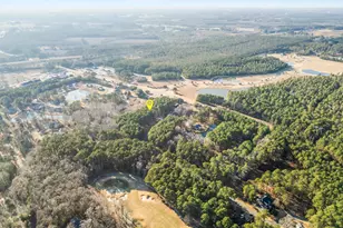 125 Scots Pine Cir, Wallace, NC 28466 - Photo 41