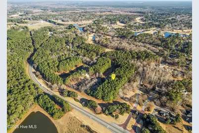 125 Scots Pine Circle, Wallace, NC 28466 - Photo 39