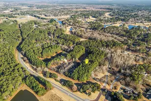 125 Scots Pine Cir, Wallace, NC 28466 - Photo 39