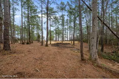 116 Cedarwood Drive, Havelock, NC 28532 - Photo 3