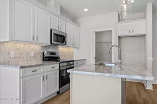 333 Mangrove Ct, Ayden, NC 28513 - Photo 17