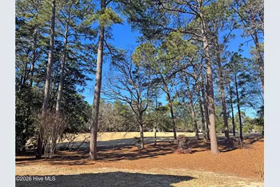 10 Pine Tree Road # 125, Pinehurst, NC 28374 - Photo 17