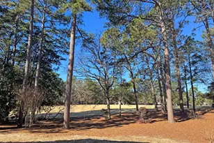 10 Pine Tree Rd, Pinehurst, NC 28374 - Photo 17