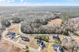 325 Levies Lndg SW, Supply, NC 28462 - Photo 57