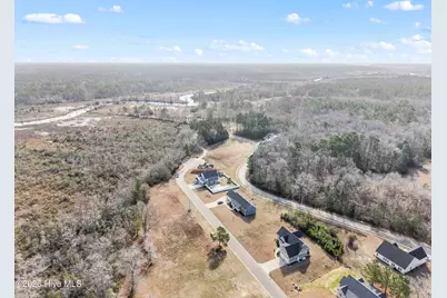 325 Levies Landing SW, Supply, NC 28462 - Photo 59