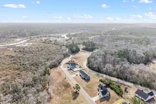 325 Levies Lndg SW, Supply, NC 28462 - Photo 59