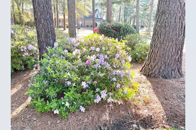 375 Saint Andrews Drive, Pinehurst, NC 28374 - Photo 39
