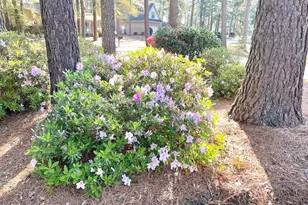 375 St Andrews Dr, Pinehurst, NC 28374 - Photo 39