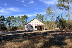 Lot 3 Peach Ct, Burgaw, NC 28425 - Photo 3