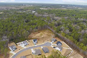 840 Winslow Ln, Southern Pines, NC 28387 - Photo 87