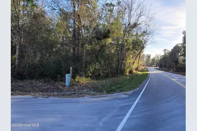 Tbd Log Cabin Road, Loris, SC 29569 - Photo 5