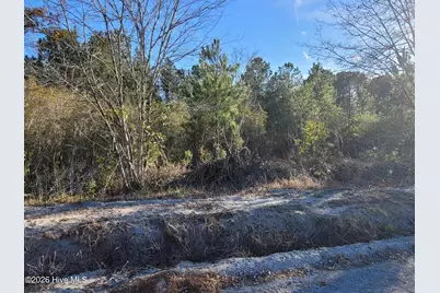 Lot 2 Auburn Drive, Loris, SC 29569 - Photo 1