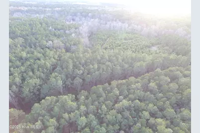 0 Shelter Creek Drive, Burgaw, NC 28425 - Photo 13