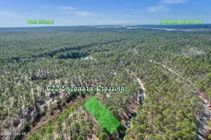 622 Theodora Crossing SE, Bolivia, NC 28422 - Photo 1