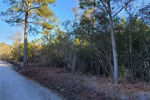 Tbd Lot 3 Auburn Dr, Loris, SC 29569 - Photo 1