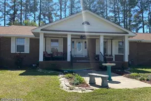 4803 Andrew Jackson Hwy SW, Chadbourn, NC 28431 - Photo 19