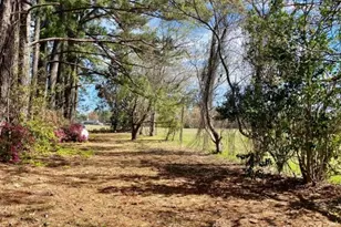 4803 Andrew Jackson Hwy SW, Chadbourn, NC 28431 - Photo 17