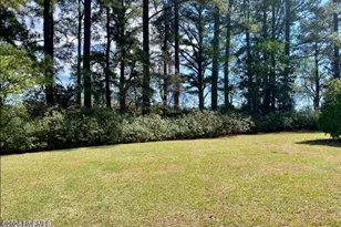4803 Andrew Jackson Hwy SW, Chadbourn, NC 28431 - Photo 9