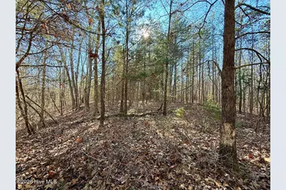 666 Solomon Road, Prospect Hill, NC 27314 - Photo 43