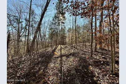 666 Solomon Road, Prospect Hill, NC 27314 - Photo 19